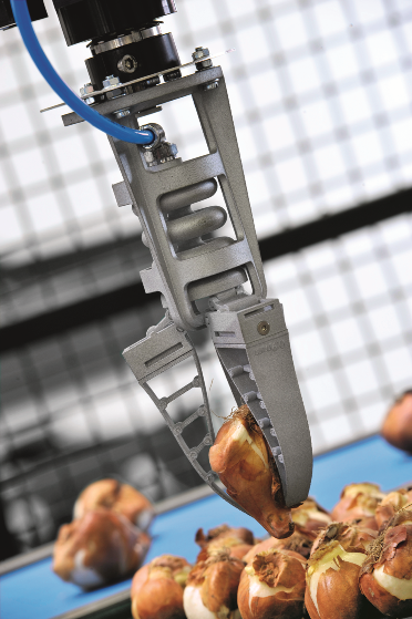 Bionic Gripper