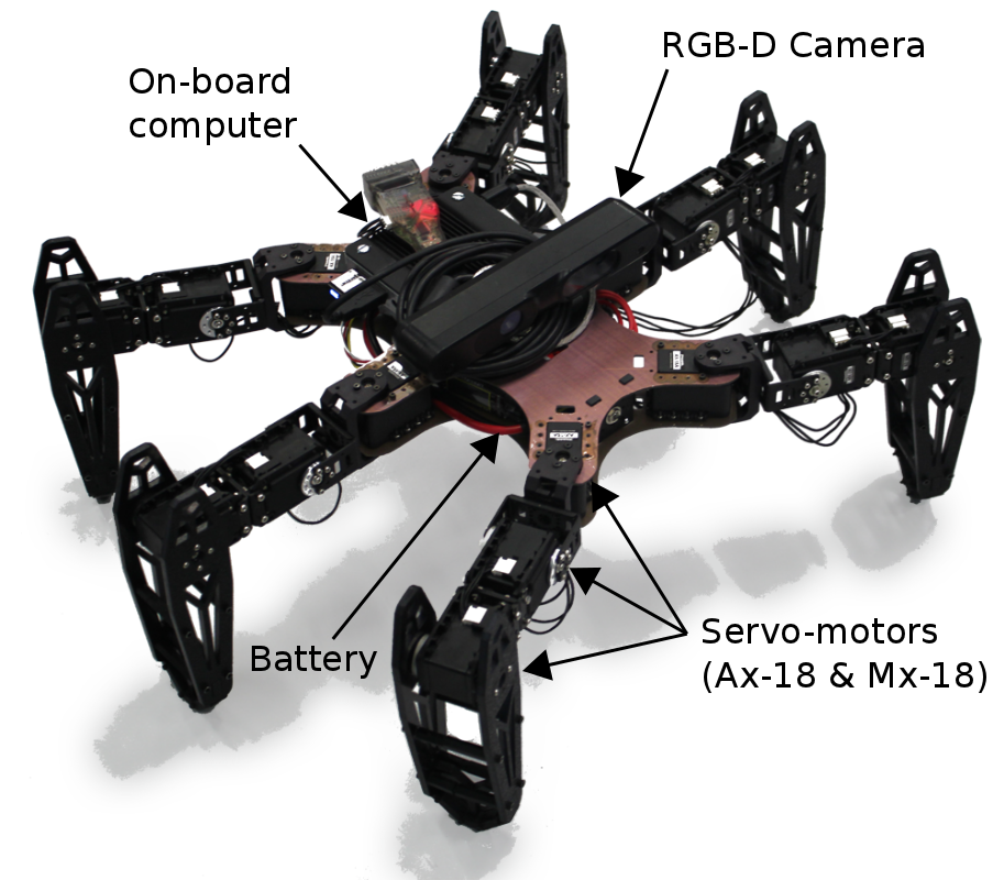 Adaptive Robots