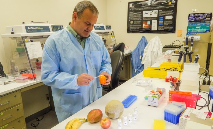 Foiling Food Fraud