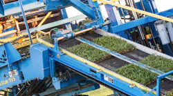 The grass slabs traverse the conveyor, and image sensors register the exact location for the handoff to the pallet stacker.