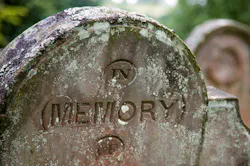 Is the Internet of Things Dead? Is the Internet of Things Dead?