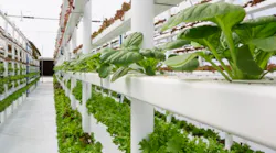 Finding the Next Food Innovation