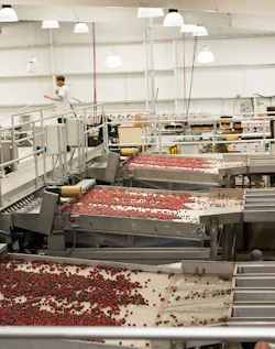 Aw 121217 Cherry20plant20floor Aw 121217 Cherry20plant20floor