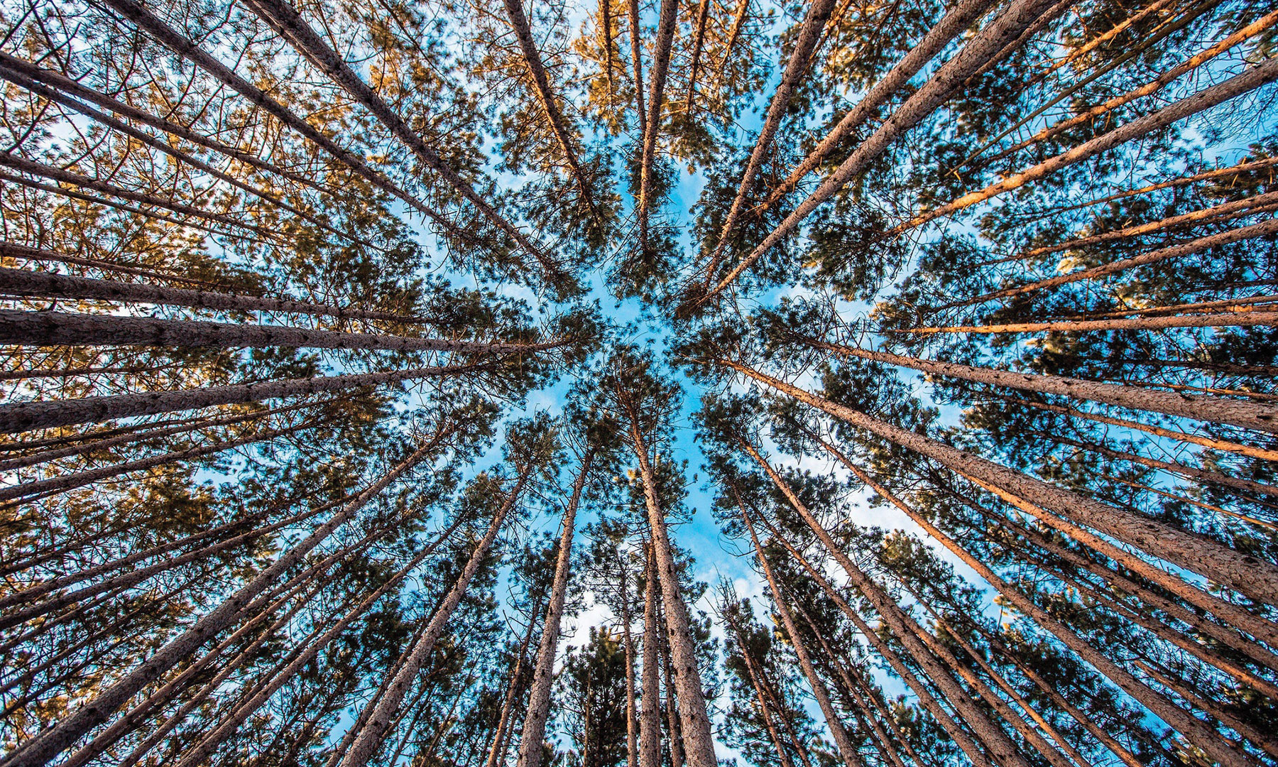 Industrial Ethernet at the Edge