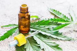 Cultivating a Cannabis Strategy Cultivating a Cannabis Strategy