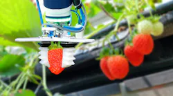 Industrial Robots are Outpacing Forecasts for Global Growth
