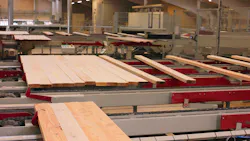 Use of a CC-Link IE network helped significantly increase yields at the DTE sawmill. Use of a CC-Link IE network helped significantly increase yields at the DTE sawmill.