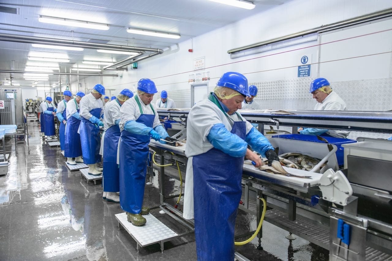 Getty Images Fish Factory 1 5f76077f98464