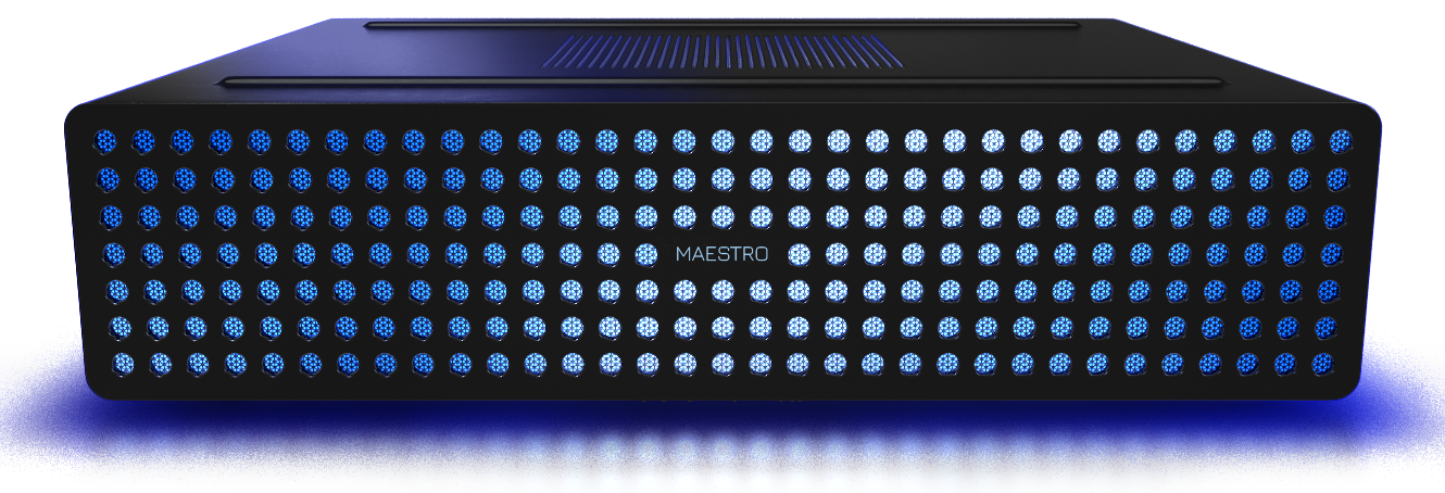 Maestro