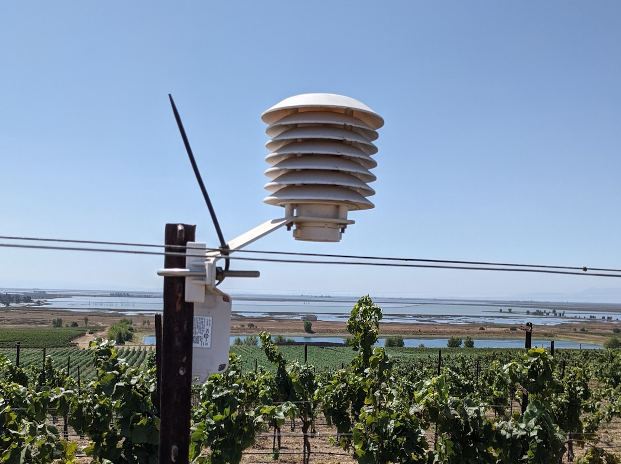 A Cisco Industrial Asset Vision sensor in the field at Bouchaine Vineyards.