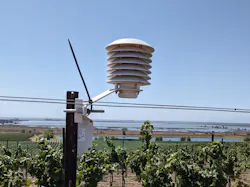 A Cisco Industrial Asset Vision sensor in the field at Bouchaine Vineyards. A Cisco Industrial Asset Vision sensor in the field at Bouchaine Vineyards.