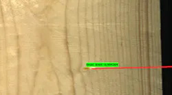 Astrocyte locates and identifies small knots (30x10 pixels) on wood planks using tiling on images Astrocyte locates and identifies small knots (30x10 pixels) on wood planks using tiling on images