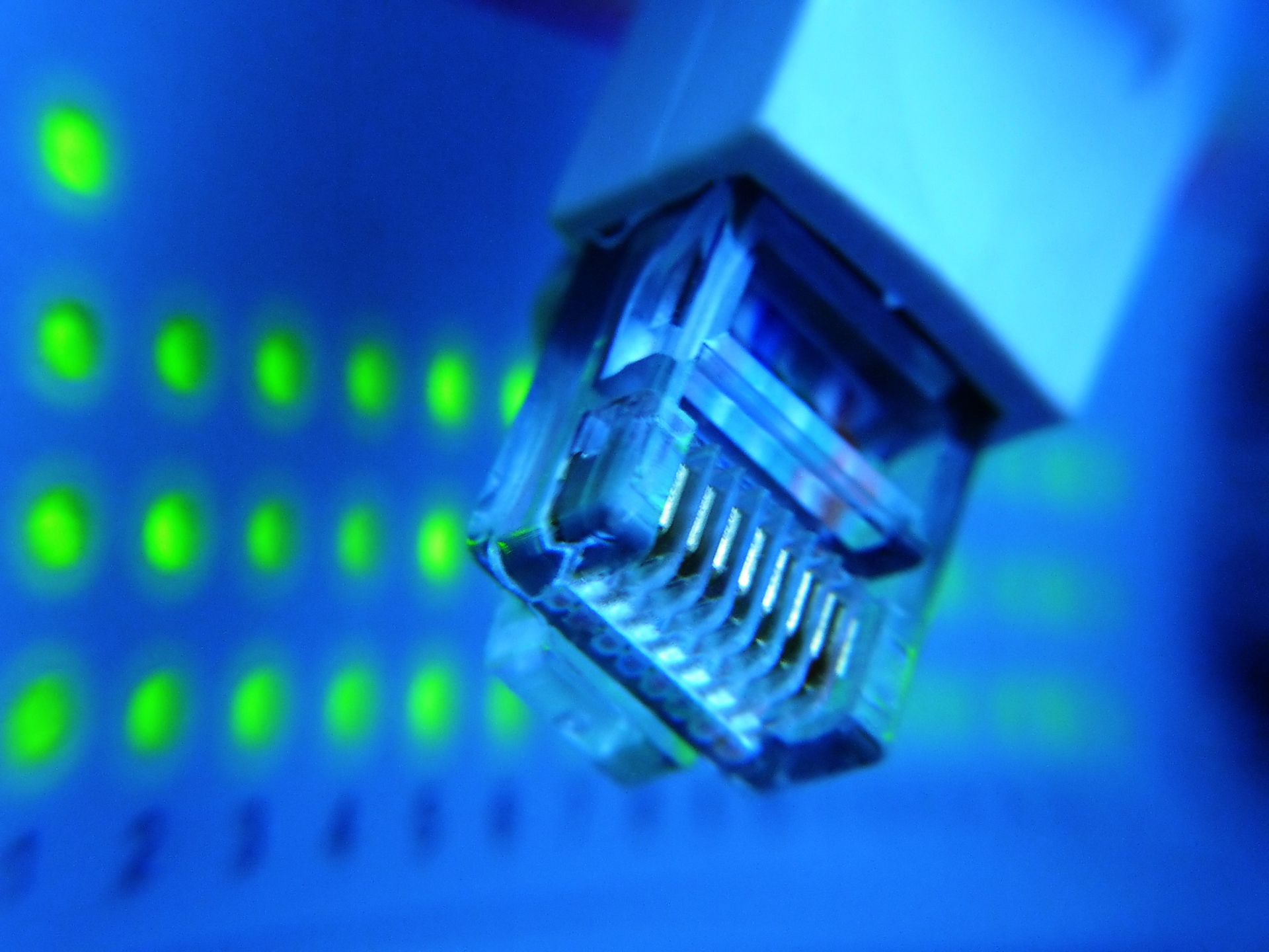 Primary 6554d340814c5