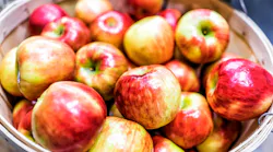 downeast_cider_house_uses_plex_to_improve_optimiza