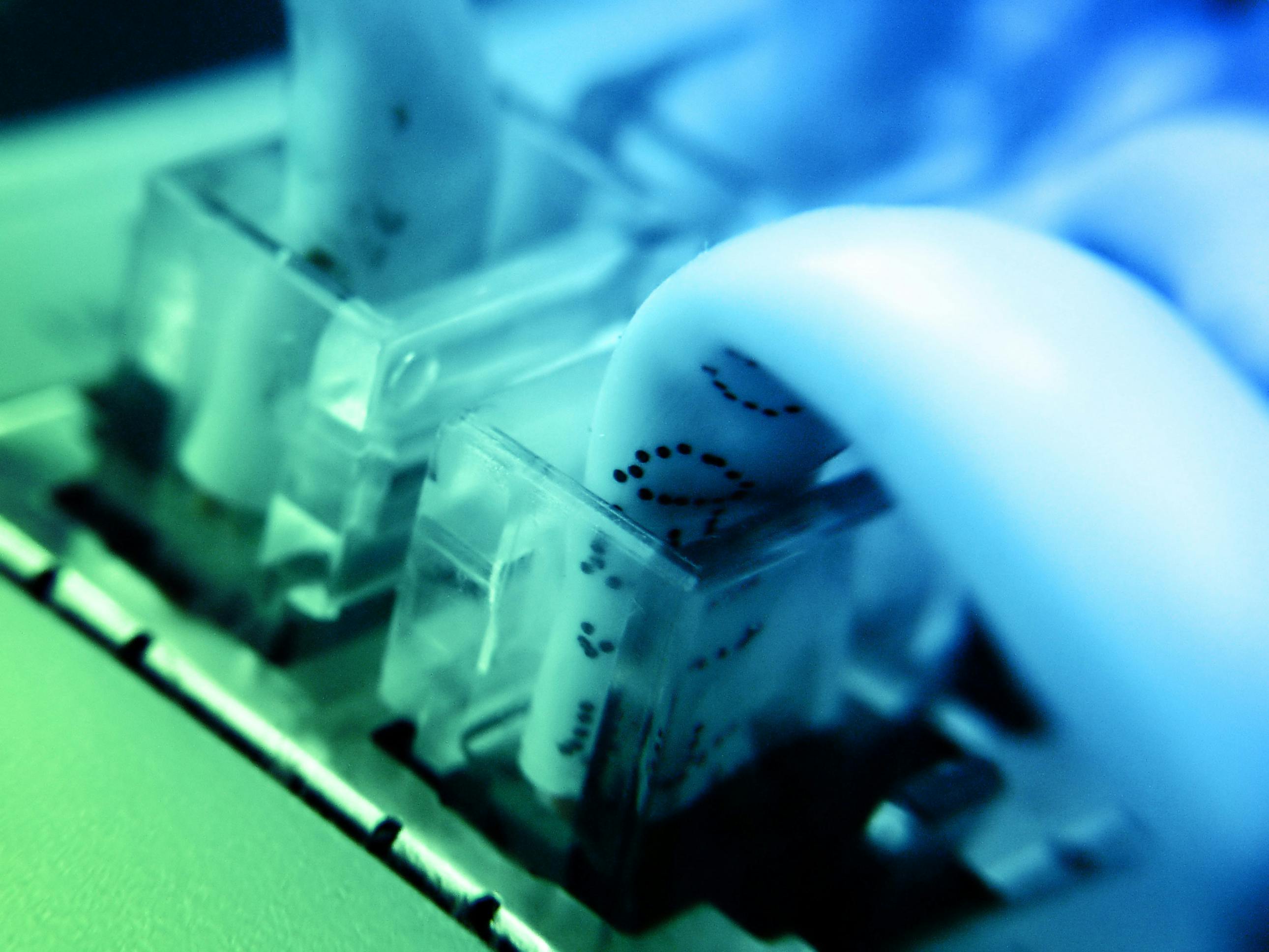 6627d1927f21f8001eb43b9e Dreamstime L 13902