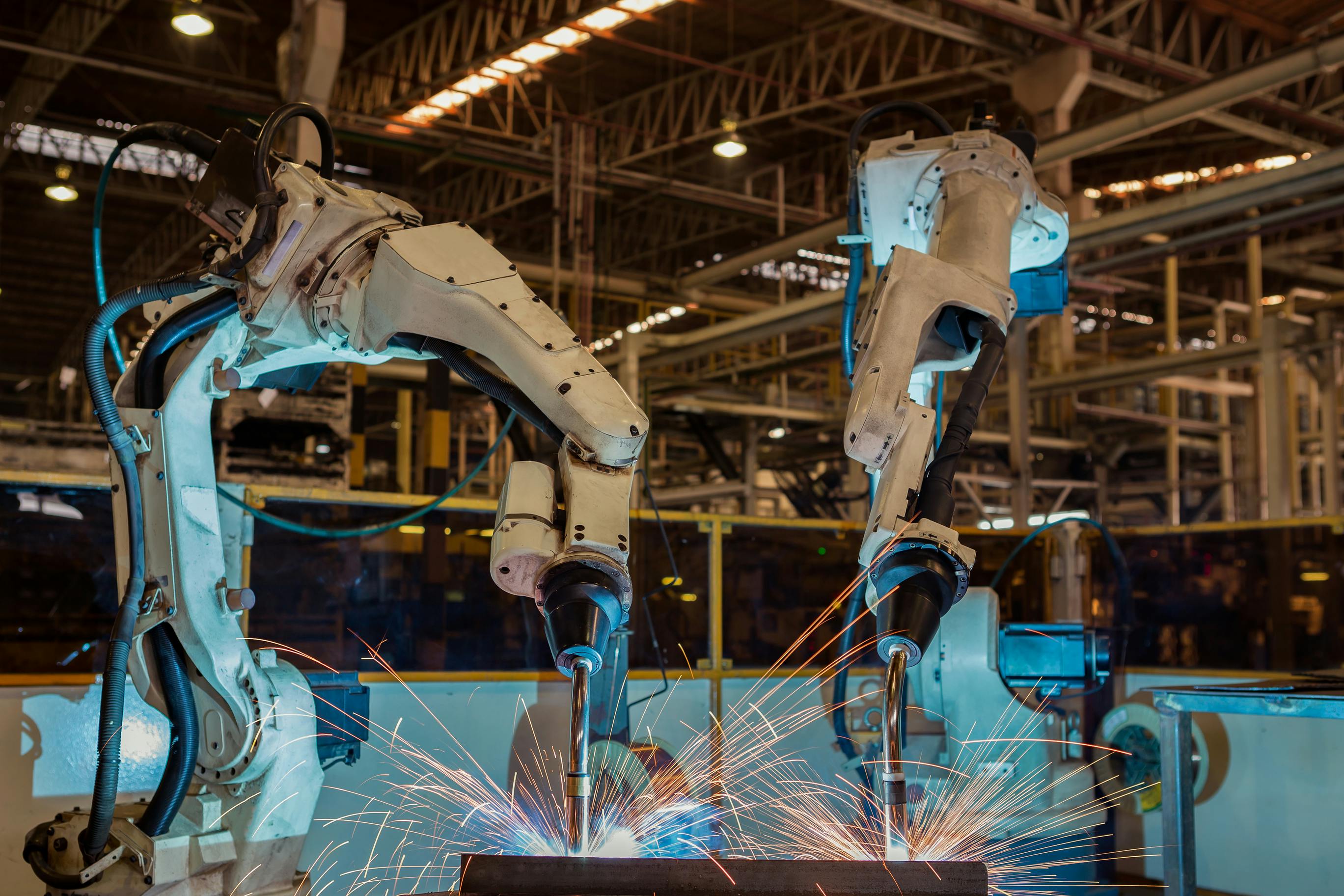 6655eba96d0ae794a2519806 Robots