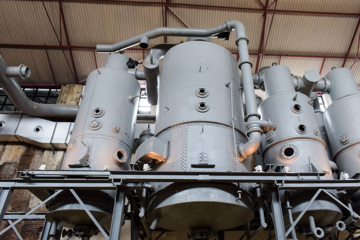 66db4f1ad49da906e42271b9 Shutterstock 2309000393