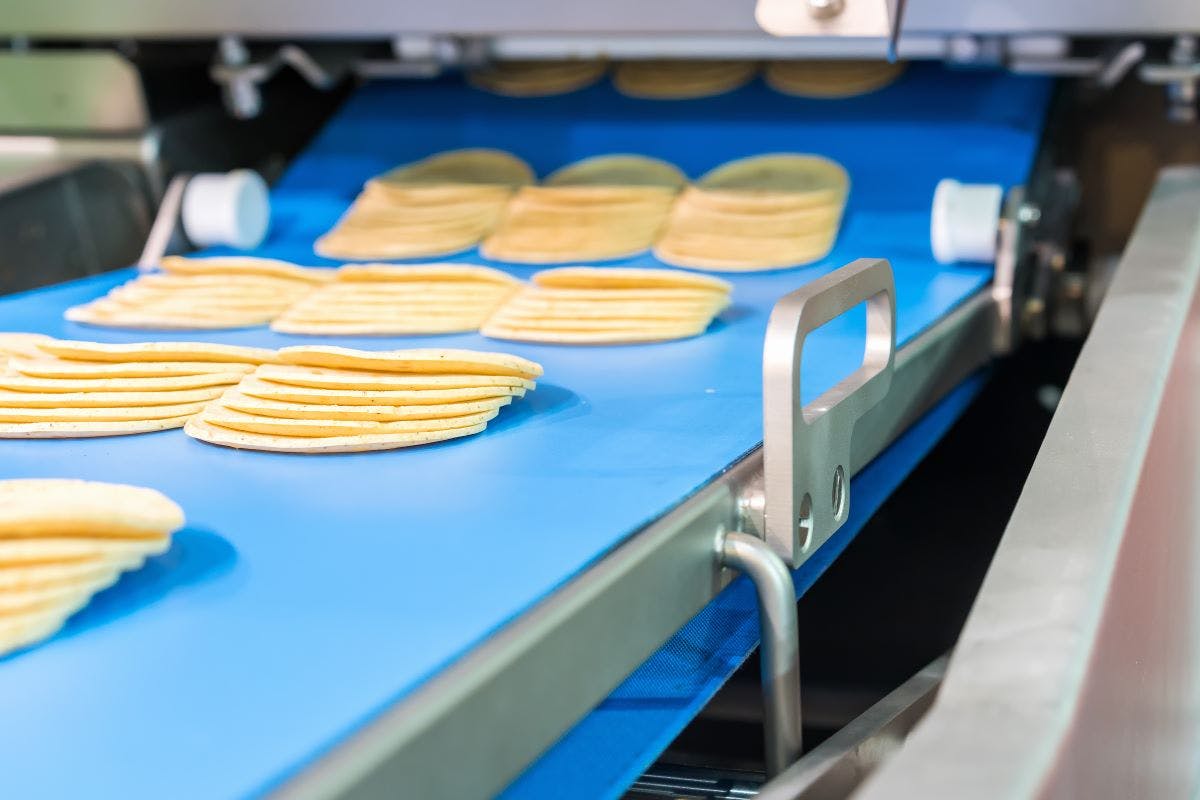 Close up bologna sliced plate on conveyor of automatic slicer machine for industrial food manufacturer
